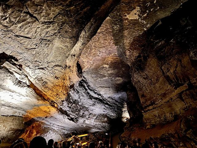 Mammoth Cave National Park